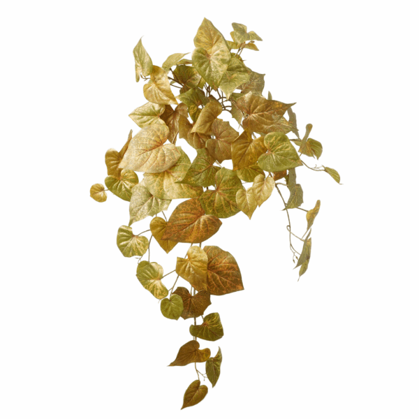 FALL POTATO LEAF