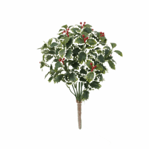 MINI VARI. HOLLY LEAF
