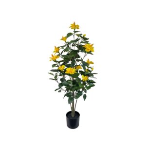 ASH HIBISCUS TREE