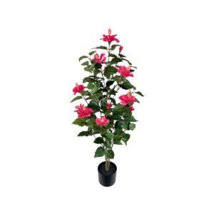 ASH HIBISCUS TREE