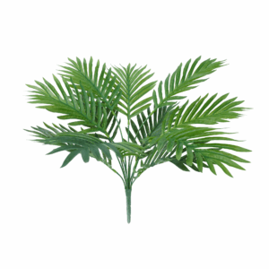ARECA PALM