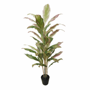 VARI.CORDYLINE (REAL TOUCH)