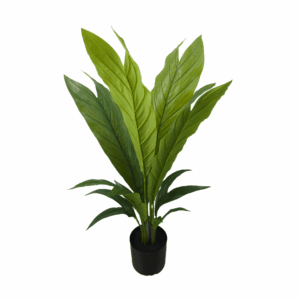 CHAMAEDOREA PALM