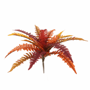 FALL BOSTON FERN