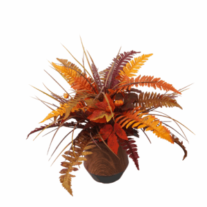 MIX FALL BOSTON FERN