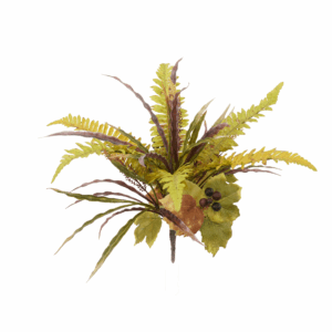 MIX FALL BOSTON FERN