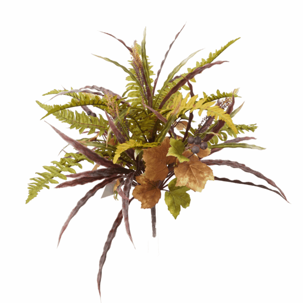 MIX FALL BOSTON FERN
