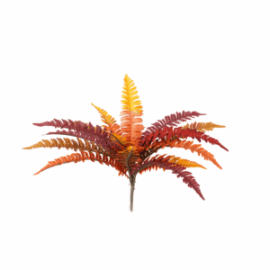 FALL BOSTON FERN