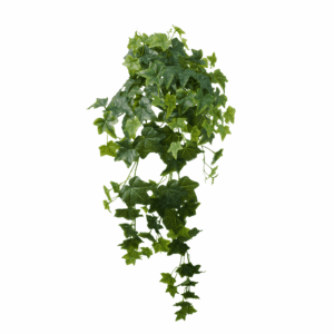 SAGE IVY (REAL TOUCH)