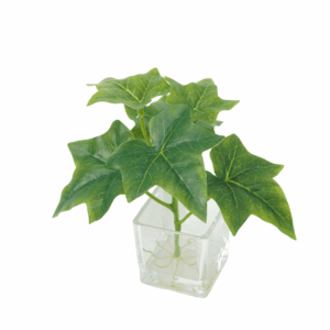 SAGE IVY (REAL TOUCH)