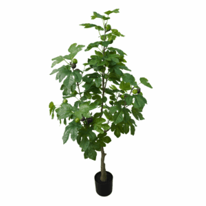 FIG TREE (REAL TOUCH)