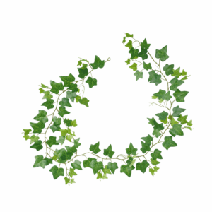 SAGE IVY