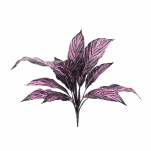 MUSA LEAF(REAL TOUCH)