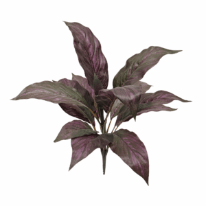 MUSA LEAF(REAL TOUCH)
