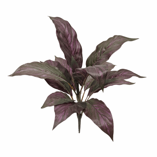 MUSA LEAF(REAL TOUCH)
