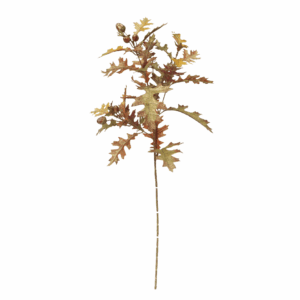 FALL OAK LEAF