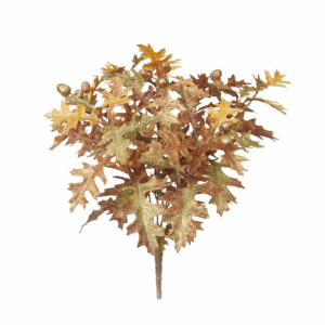 FALL OAK LEAF