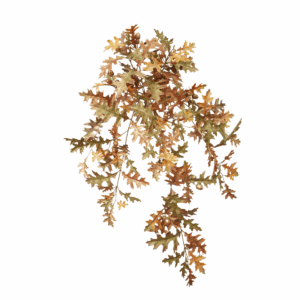FALL OAK LEAF