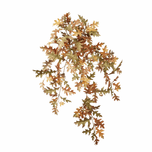 FALL OAK LEAF
