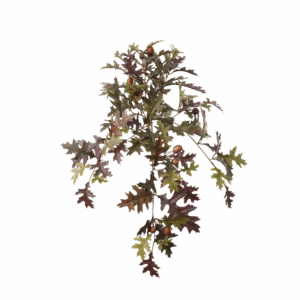 FALL OAK LEAF