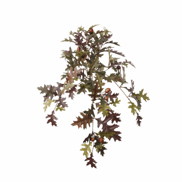 FALL OAK LEAF
