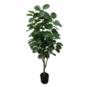 MONEY TREE (REAL TOUCH)