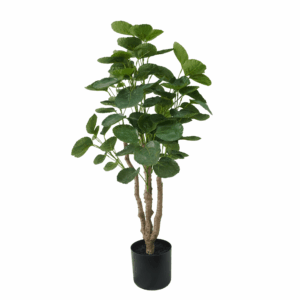 MONEY TREE (REAL TOUCH)