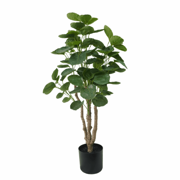 MONEY TREE (REAL TOUCH)