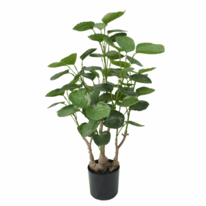MONEY TREE (REAL TOUCH)