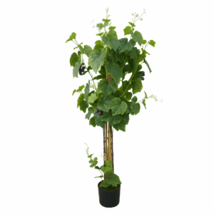 GRAPE LEAF (REAL TOUCH)