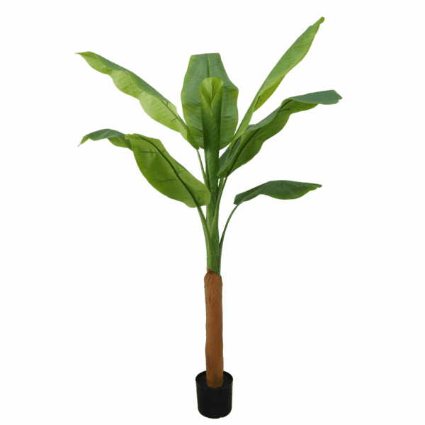 BANANA TREE (REAL TOUCH)