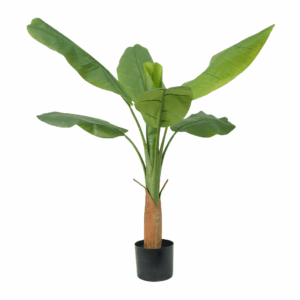 BANANA TREE (REAL TOUCH)