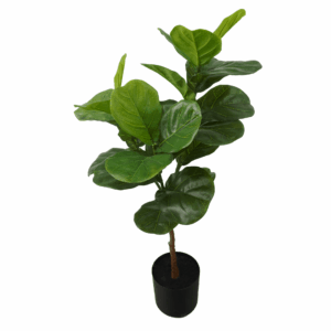 FIDDLE LEAF (THICKY REAL TOUCH)