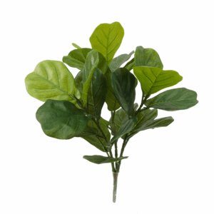 FIDDLE LEAF (THICKY REAL TOUCH)