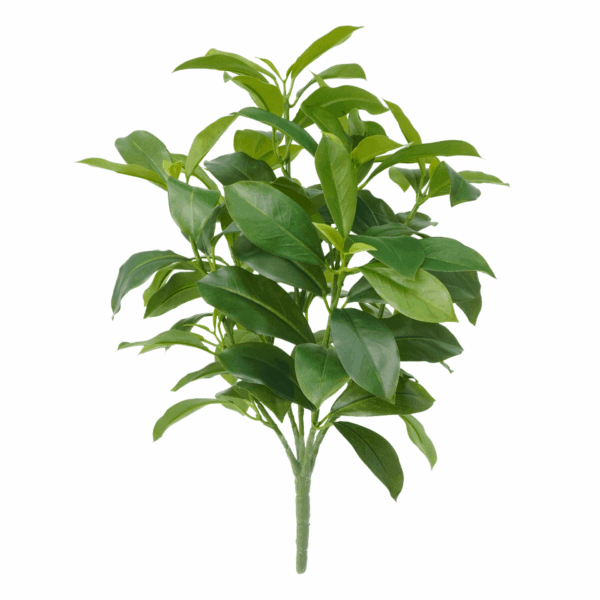GREEN FAGRAEA CEILANICA (REAL TOUCH)