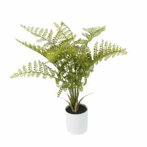 PLASTIC LACE FERN