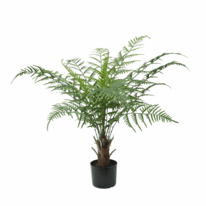 PLASTIC CYATHEA FERN