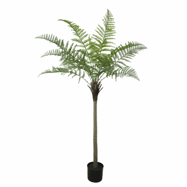 PLASTIC MARSH FERN