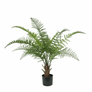 PLASTIC MARSH FERN