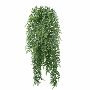 PLASTIC BAKER FERN