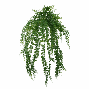 PLASTIC MAIDENHAIR FERN