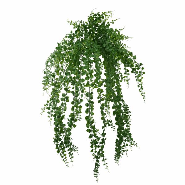PLASTIC MAIDENHAIR FERN