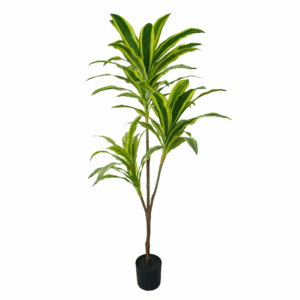 YUCCA PLANT (REAL TOUCH )