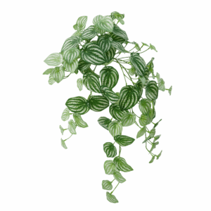 WATERMELON LEAF (REAL TOUCH)