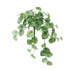 WATERMELON LEAF (REAL TOUCH)