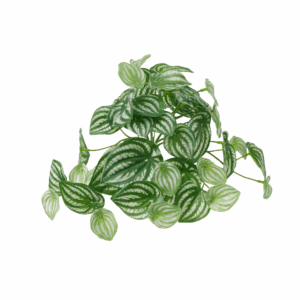 WATERMELON LEAF (REAL TOUCH)