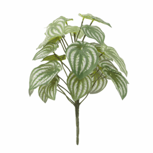WATERMELON LEAF (REAL TOUCH)