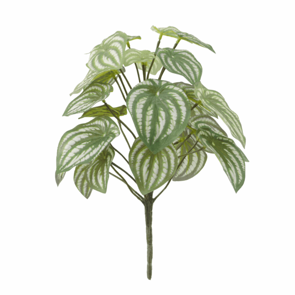 WATERMELON LEAF (REAL TOUCH)