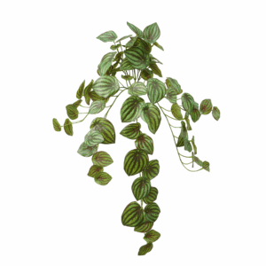 WATERMELON LEAF (REAL TOUCH)