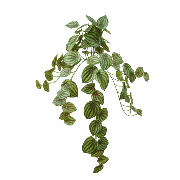 WATERMELON LEAF (REAL TOUCH)